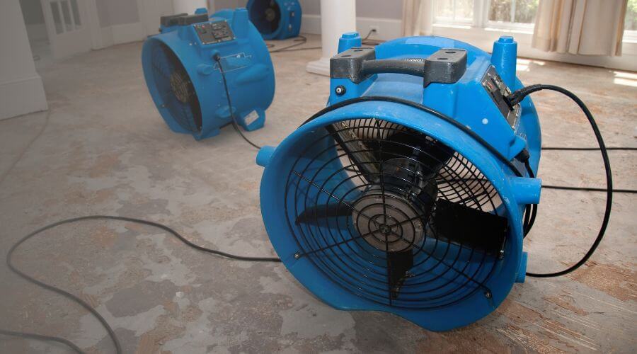 Why choose BlueDash Co for water damage restoration in San Marcos